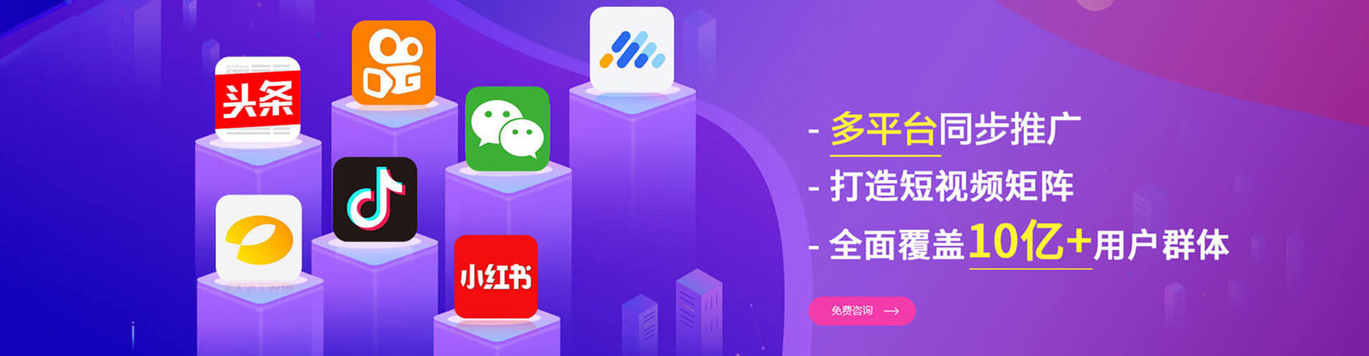 树林推广竞价